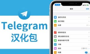 在哪里可以找到 Telegram 的语言包？