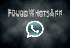 How to Back Up Chats on Fouad WhatsApp